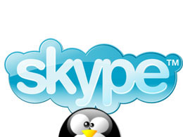 SKYPELINUX