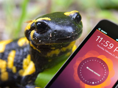 Ubuntu 13.10 saucy Salamander