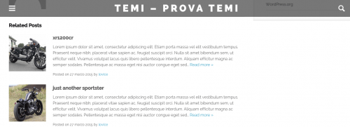 layout pagine intererne omg theme wordpress