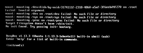 Linux initramfs error